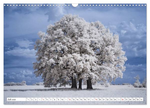 Produktbild: Zauberhafte Infrarot-Fotografie (Wandkalender 2026 DIN A3 quer), CALVENDO Monatskalender