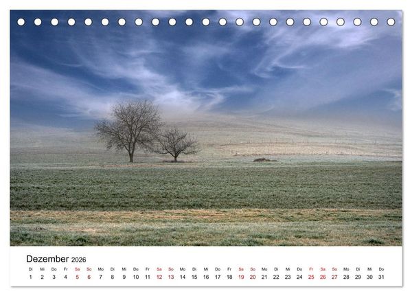 Produktbild: B&auml;ume - Wunder der Natur (Tischkalender 2026 DIN A5 quer), CALVENDO Monatskalender