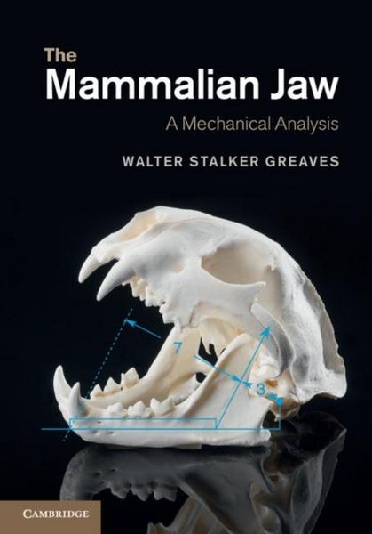 Produktbild: Mammalian Jaw