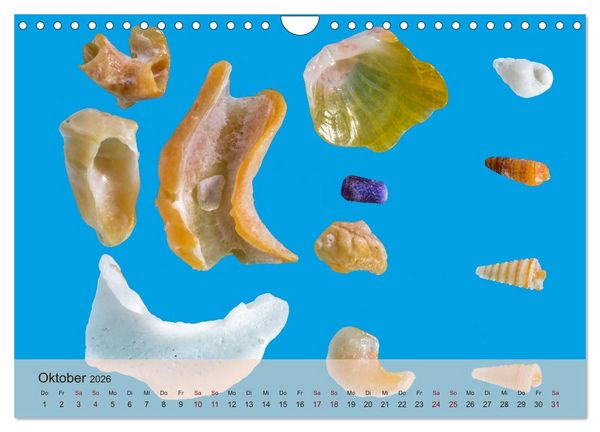 Produktbild: rosaroter korallensand (Wandkalender 2026 DIN A4 quer), CALVENDO Monatskalender