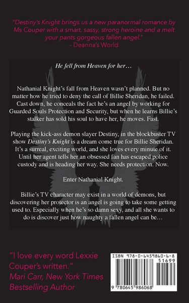 Produktbild: Destiny's Knight