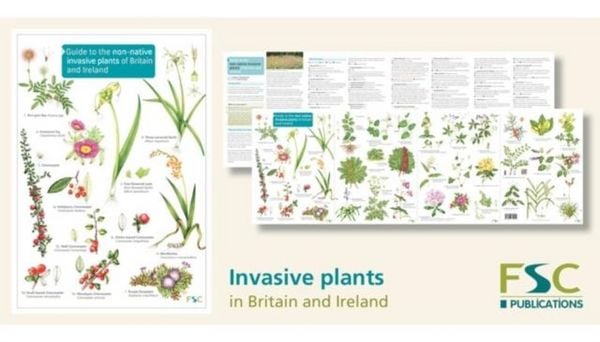 Produktbild: Guide to the non-native invasive plants of Britain and Ireland