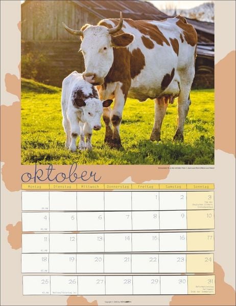 Produktbild: Kuh Kalender 2027