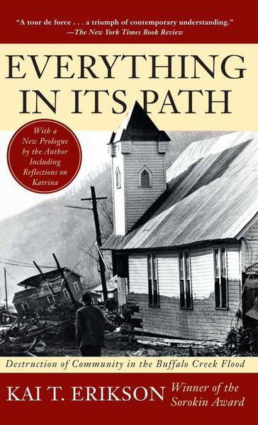 Produktbild: Everything In Its Path
