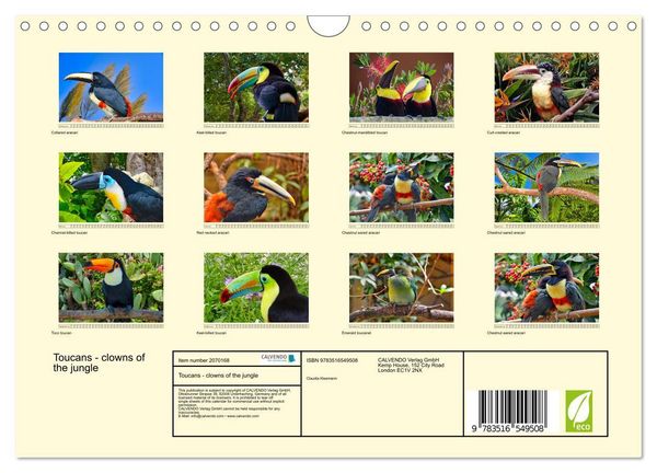 Produktbild: Toucans - clowns of the jungle (Wall Calendar 2026 DIN A4 landscape), CALVENDO 12 Month Wall Calendar
