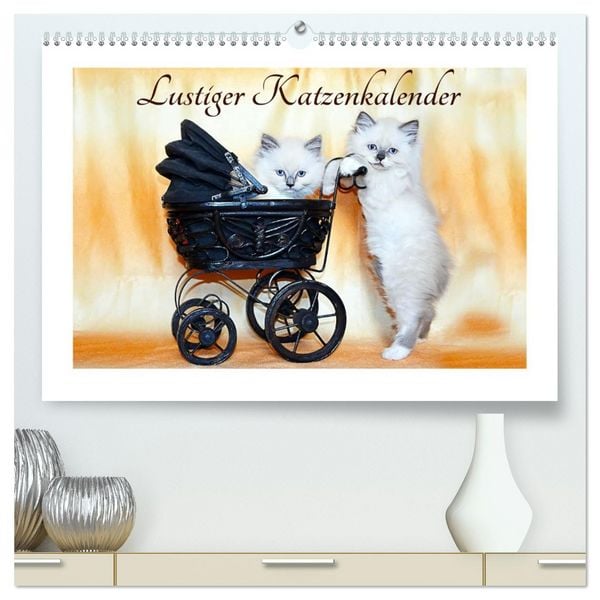 Lustiger Katzenkalender (hochwertiger Premium Wandkalender 2026 DIN A2 quer), Kunstdruck in Hochglanz