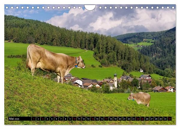 Produktbild: Pustertal - Das gr&uuml;ne Tal S&uuml;dtirols (Wandkalender 2026 DIN A4 quer), CALVENDO Monatskalender