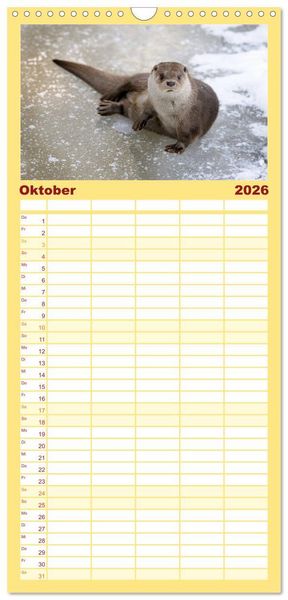 Produktbild: Familienplaner 2026 - Fischotter, flinke J&auml;ger mit 5 Spalten (Wandkalender, 21 x 45 cm) CALVENDO