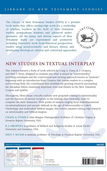 Produktbild: New Studies in Textual Interplay