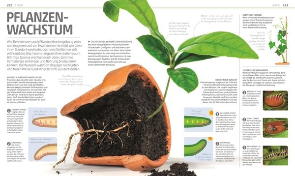 Produktbild: Mega-Wissen. Natur & Technik