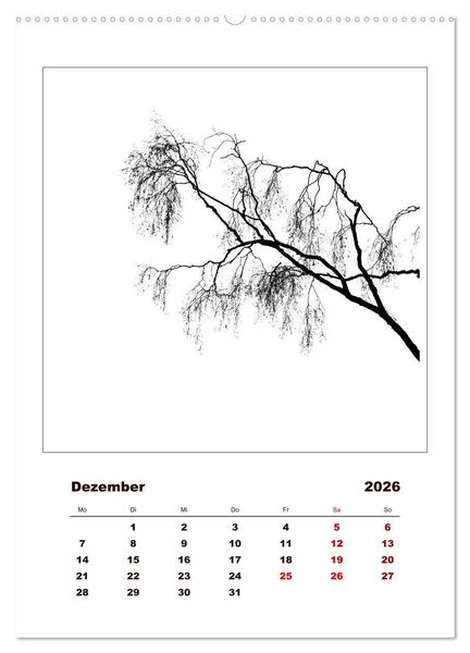 Produktbild: LignoGrafica - Muster und Strukturen der B&auml;ume (Wandkalender 2026 DIN A2 hoch), CALVENDO Monatskalender