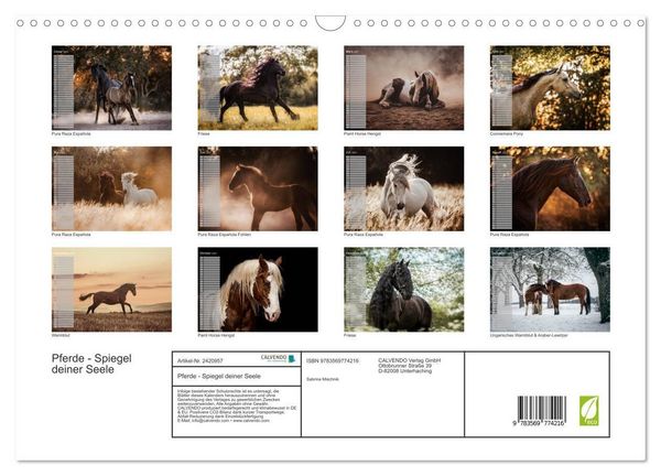 Produktbild: Pferde - Spiegel deiner Seele (Wandkalender 2027 DIN A3 quer), CALVENDO Monatskalender
