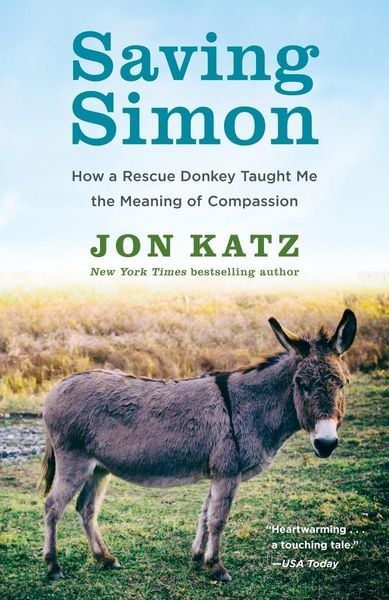 Produktbild: Saving Simon