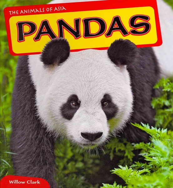 Produktbild: Pandas