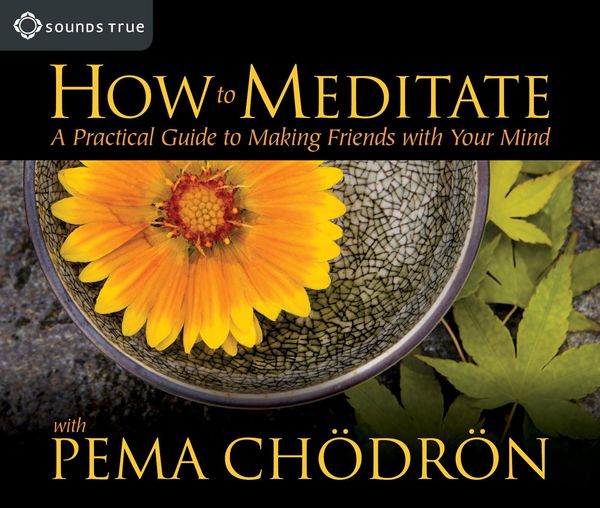 Produktbild: How to Meditate with Pema Ch&ouml;dr&ouml;n