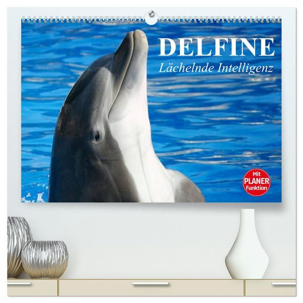 Produktbild: Delfine - L&auml;chelnde Intelligenz (hochwertiger Premium Wandkalender 2026 DIN A2 quer), Kunstdruck in Hochglanz