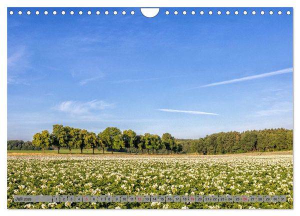 Produktbild: Erlebnis Wendland (Wandkalender 2026 DIN A4 quer), CALVENDO Monatskalender