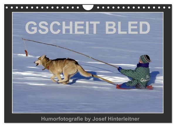 GSCHEIT BLED - Humorfotografie (Wandkalender 2026 DIN A4 quer), CALVENDO Monatskalender