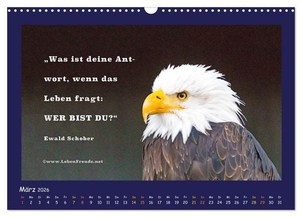 Produktbild: Bewusst leben und gl&uuml;cklich sein (Wandkalender 2026 DIN A3 quer), CALVENDO Monatskalender