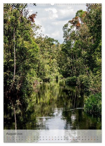 Produktbild: BORNEO Bedrohtes Paradies (Wandkalender 2026 DIN A2 hoch), CALVENDO Monatskalender