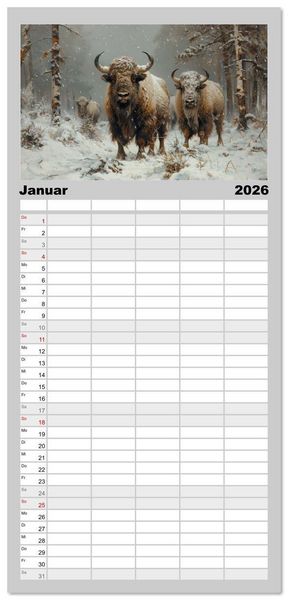 Produktbild: Familienplaner 2026 - Wilde Rinder mit 5 Spalten (Wandkalender, 21 x 45 cm) CALVENDO