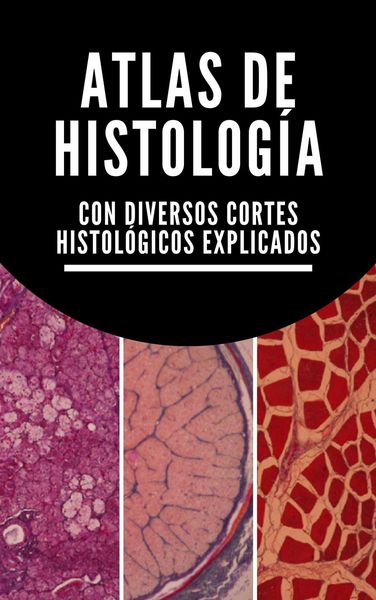 Produktbild: Atlas de histolog&iacute;a