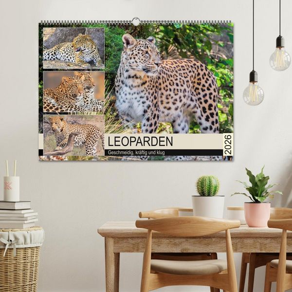 Produktbild: Leoparden. Geschmeidig, kr&auml;ftig und klug (Wandkalender 2026 DIN A2 quer), CALVENDO Monatskalender
