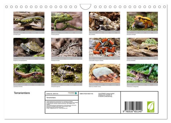 Produktbild: Terrarientiere (Wandkalender 2026 DIN A4 quer), CALVENDO Monatskalender