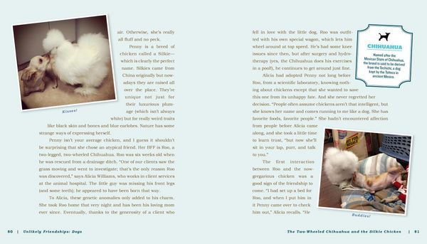 Produktbild: Unlikely Friendships: Dogs