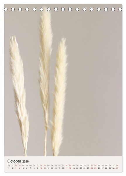 Produktbild: Dried Flowers (Desk Calendar 2026 DIN A5 portrait), CALVENDO 12 Month DeskCalendar