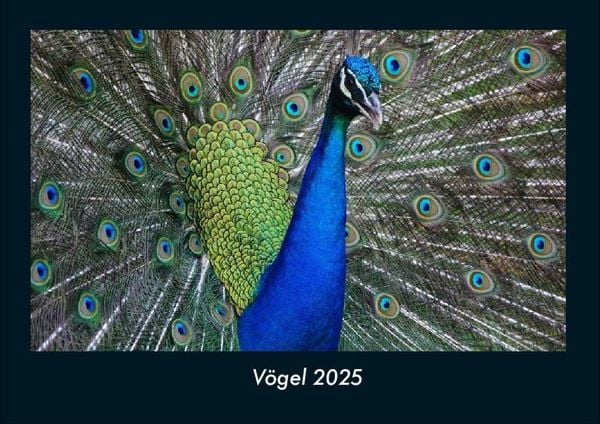 Produktbild: V&ouml;gel 2025 Fotokalender DIN A4