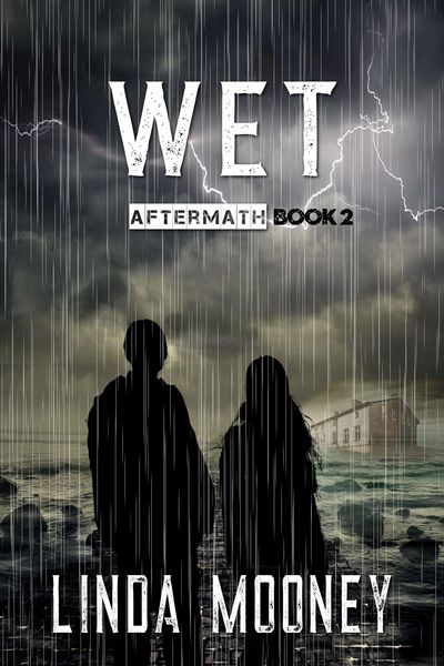 Produktbild: Wet (Aftermath, #2)