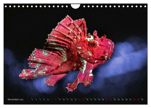 Produktbild: Artwork Unterwasser - Erlebnis Tauchen (Wandkalender 2026 DIN A4 quer), CALVENDO Monatskalender