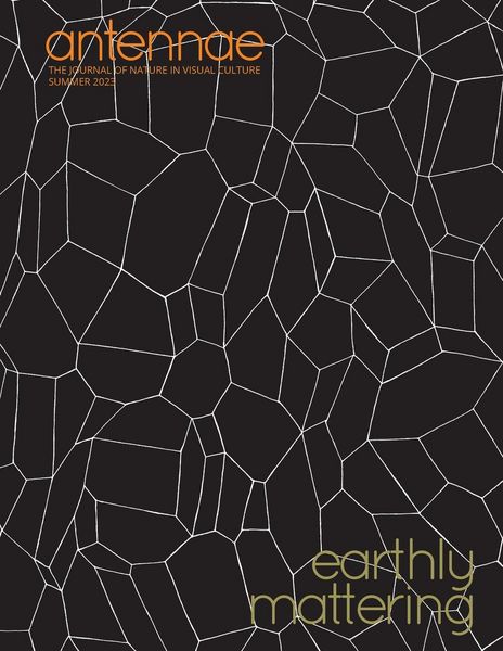 Produktbild: Antennae #61 Earthly Mattering