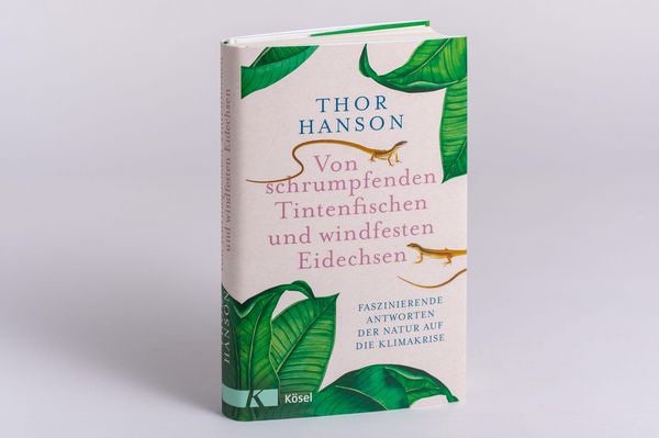 Produktbild: Von schrumpfenden Tintenfischen und windfesten Eidechsen