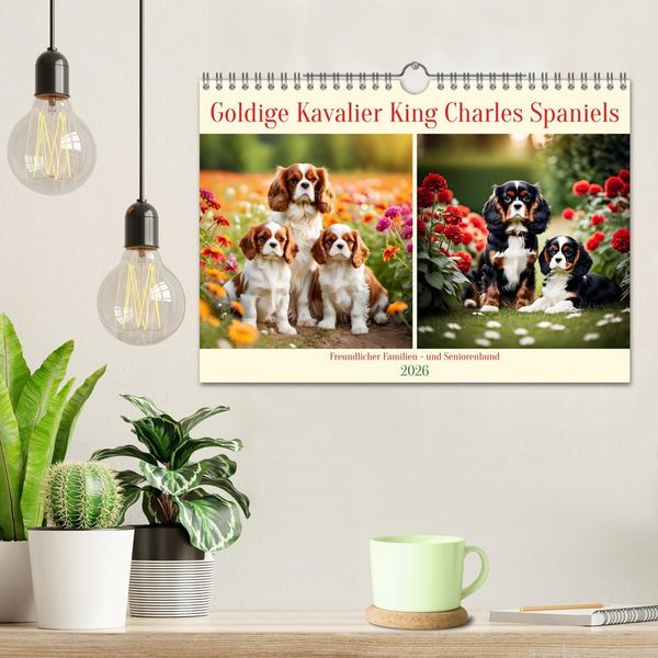 Produktbild: Goldige Kavalier King Charles Spaniels (Wandkalender 2026 DIN A4 quer), CALVENDO Monatskalender