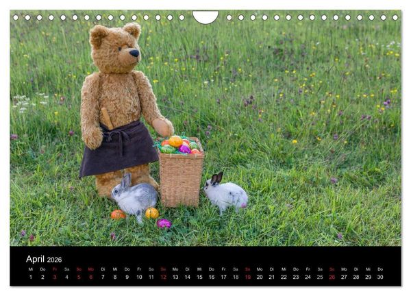 Produktbild: Martin B&auml;ren (Wandkalender 2026 DIN A4 quer), CALVENDO Monatskalender