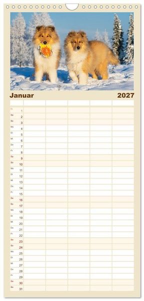 Produktbild: Familienplaner 2027 - Faszinierende Rough Collies mit 5 Spalten (Wandkalender, 21 x 45 cm) CALVENDO