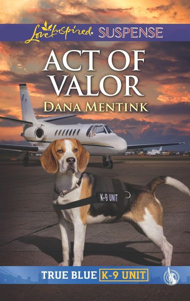Produktbild: Act of Valor