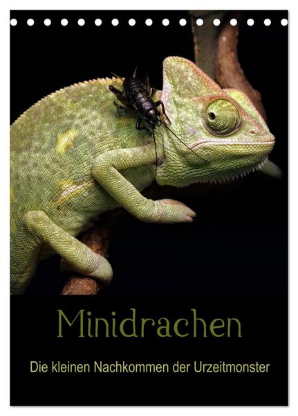 Produktbild: Minidrachen - Die kleinen Nachkommen der Urzeitmonster (Tischkalender 2026 DIN A5 hoch), CALVENDO Monatskalender
