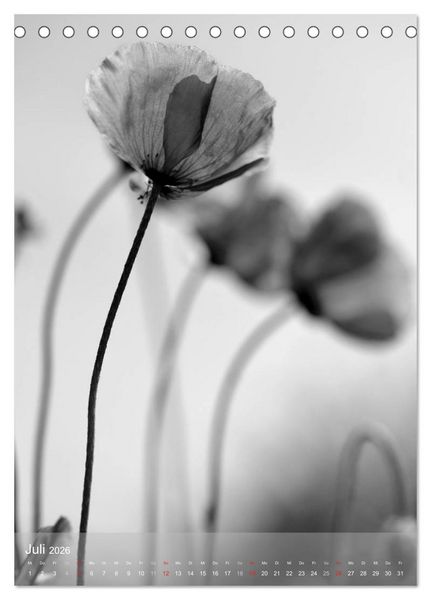 Produktbild: Monochrome Bl&uuml;ten - In Schwarz-Wei&szlig; Bildern durch das Jahr (Tischkalender 2026 DIN A5 hoch), CALVENDO Monatskalender