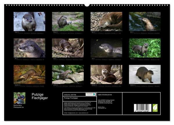Produktbild: Putzige Fischj&auml;ger (hochwertiger Premium Wandkalender 2027 DIN A2 quer), Kunstdruck in Hochglanz