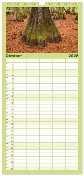 Produktbild: Familienplaner 2026 - Natur Paradies Mississippi Delta mit 5 Spalten (Wandkalender, 21 x 45 cm) CALVENDO