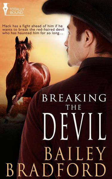 Produktbild: Breaking the Devil
