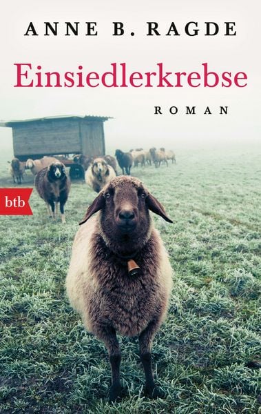Produktbild: Einsiedlerkrebse