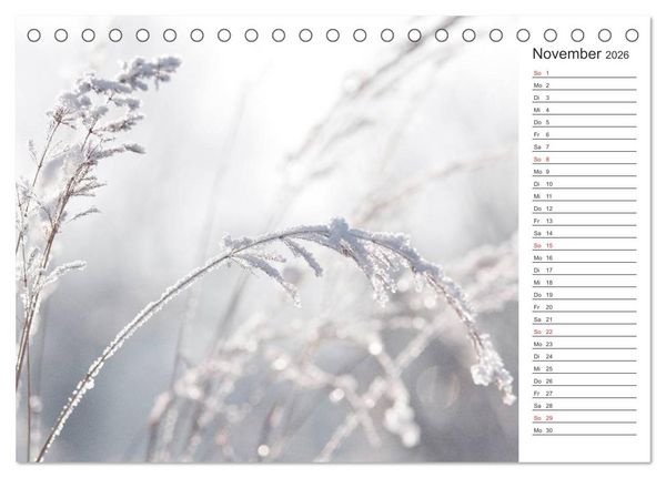 Produktbild: Blumenfreude Terminkalender (Tischkalender 2026 DIN A5 quer), CALVENDO Monatskalender