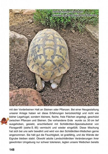 Produktbild: Landschildkr&ouml;ten-Freilandanlagen