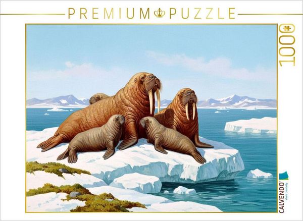 CALVENDO Puzzle Walross mit Jungtieren auf der Eisscholle | 1000 Teile Lege-Größe 64x48cm Foto-Puzzle für glückliche Stunden