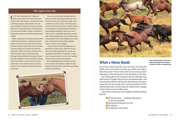 Produktbild: How to Think Like a Horse