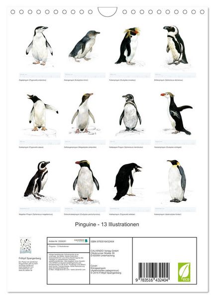 Produktbild: Pinguine - 13 Illustrationen (Wandkalender 2026 DIN A4 hoch), CALVENDO Monatskalender